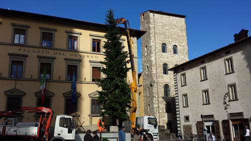 Trasporto e posizionamento Abete di Natale in Piazza Duomo a Pistoia con Autotreno Con Gru Mod Iveco 42 Effer 335 Con Jib E Rimorchio Ribassato