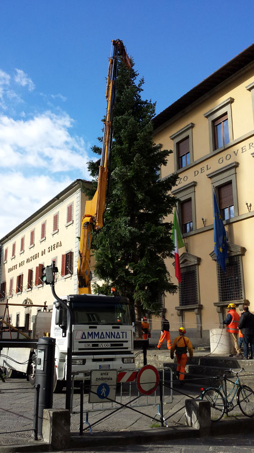 Trasporto e posizionamento Abete di Natale in Piazza Duomo a Pistoia con Autotreno Con Gru Mod Iveco 42 Effer 335 Con Jib E Rimorchio Ribassato